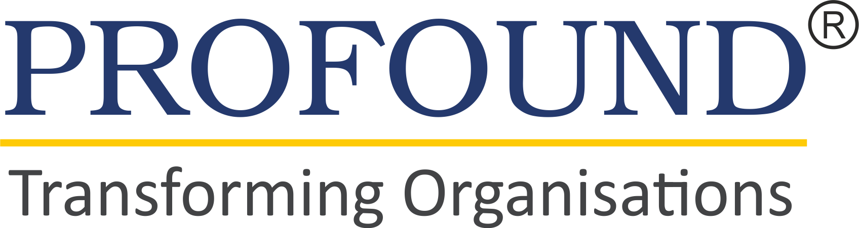 Profound - Transforming Organization