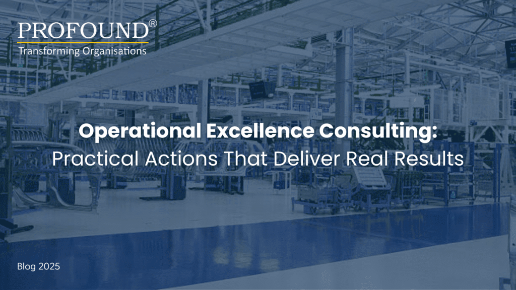 operational excellence consulting